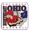 NEO Roy Hobbs Baseball